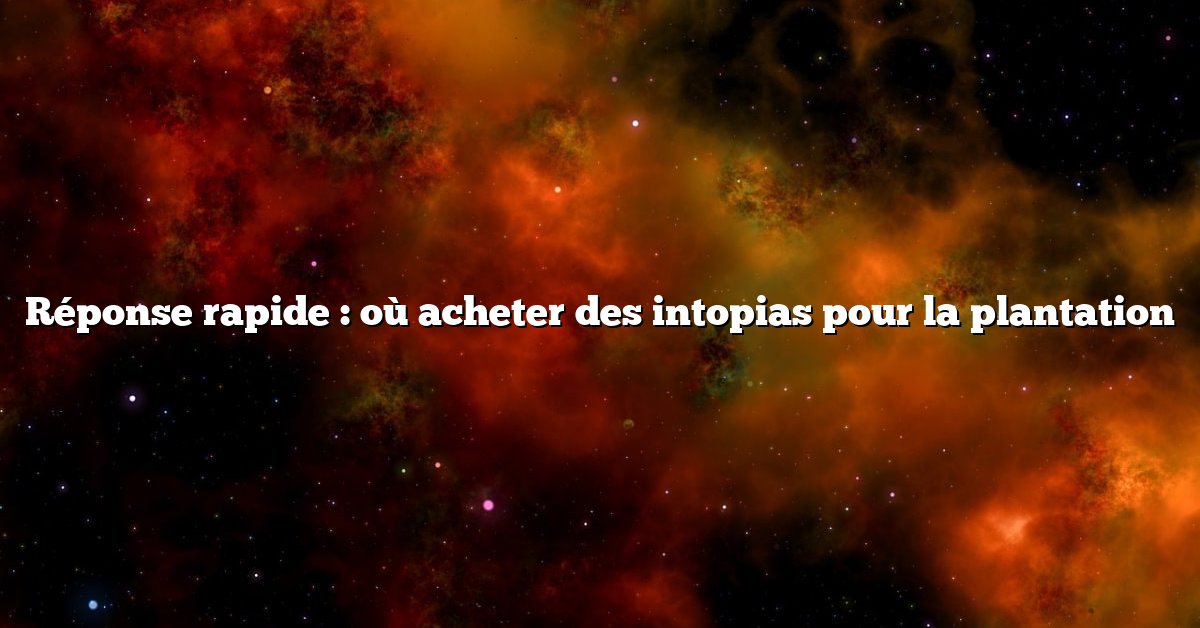 Réponse rapide : où acheter des intopias pour la plantation
